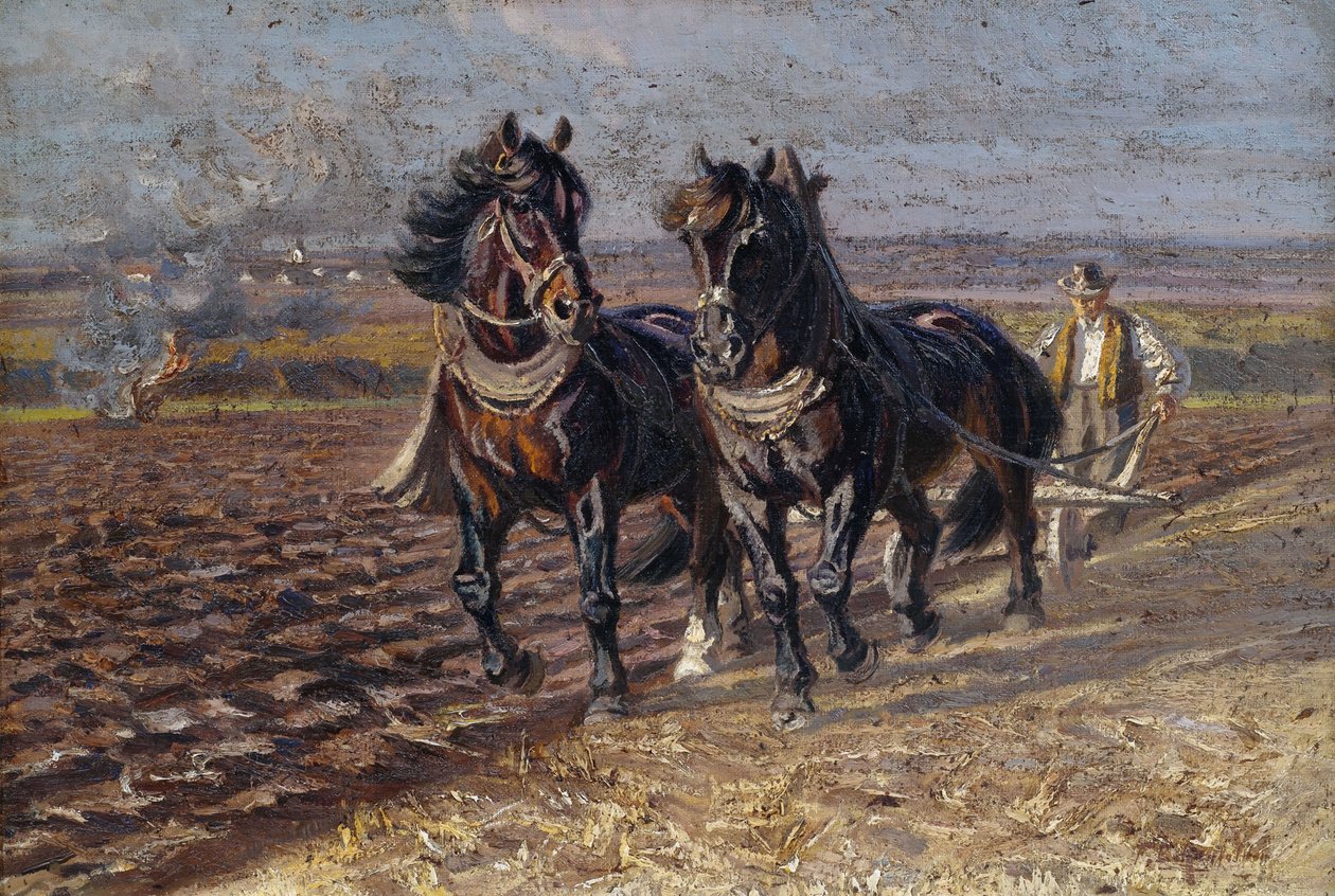Dva černí koně u pluhu od Friedrich Eckenfelder
