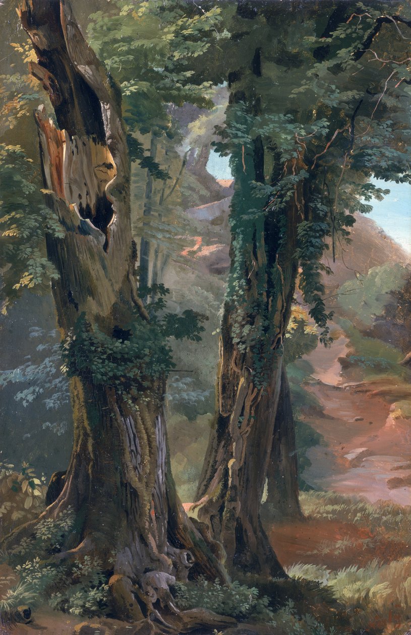 Old Elms, cca 1835 (olej na papíře na desce) od Friedrich Nerly