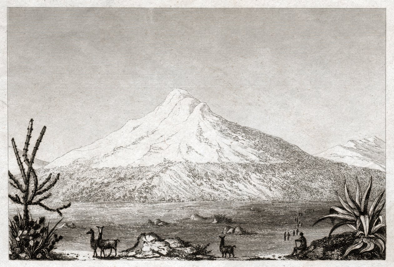 Sopka Chimborazo. (rytina, cca 1840) od Friedrich Alexander Baron von (after) Humboldt
