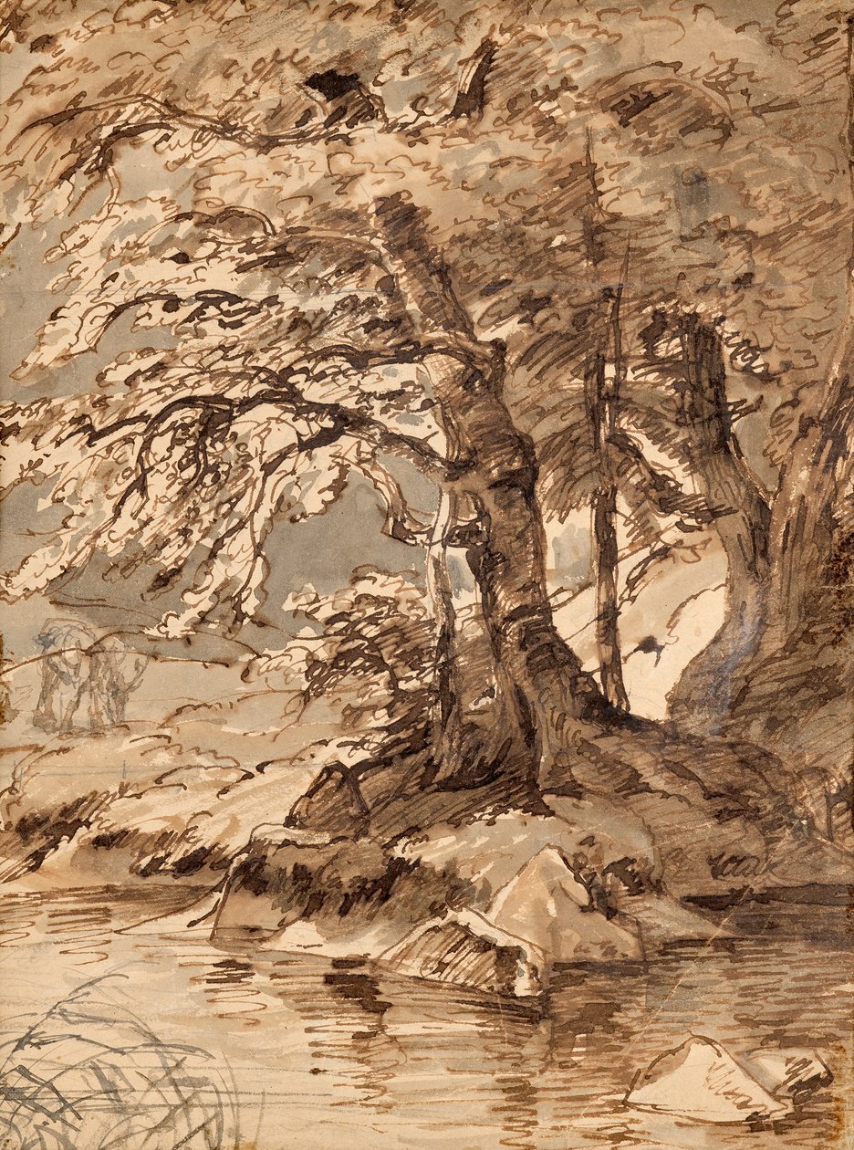 studie stromů od Friedrich August Mathias Gauermann