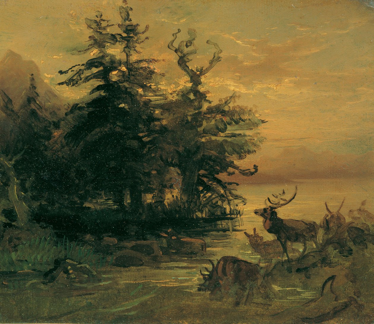 Valení jelenů na břehu horského jezera od Friedrich August Mathias Gauermann