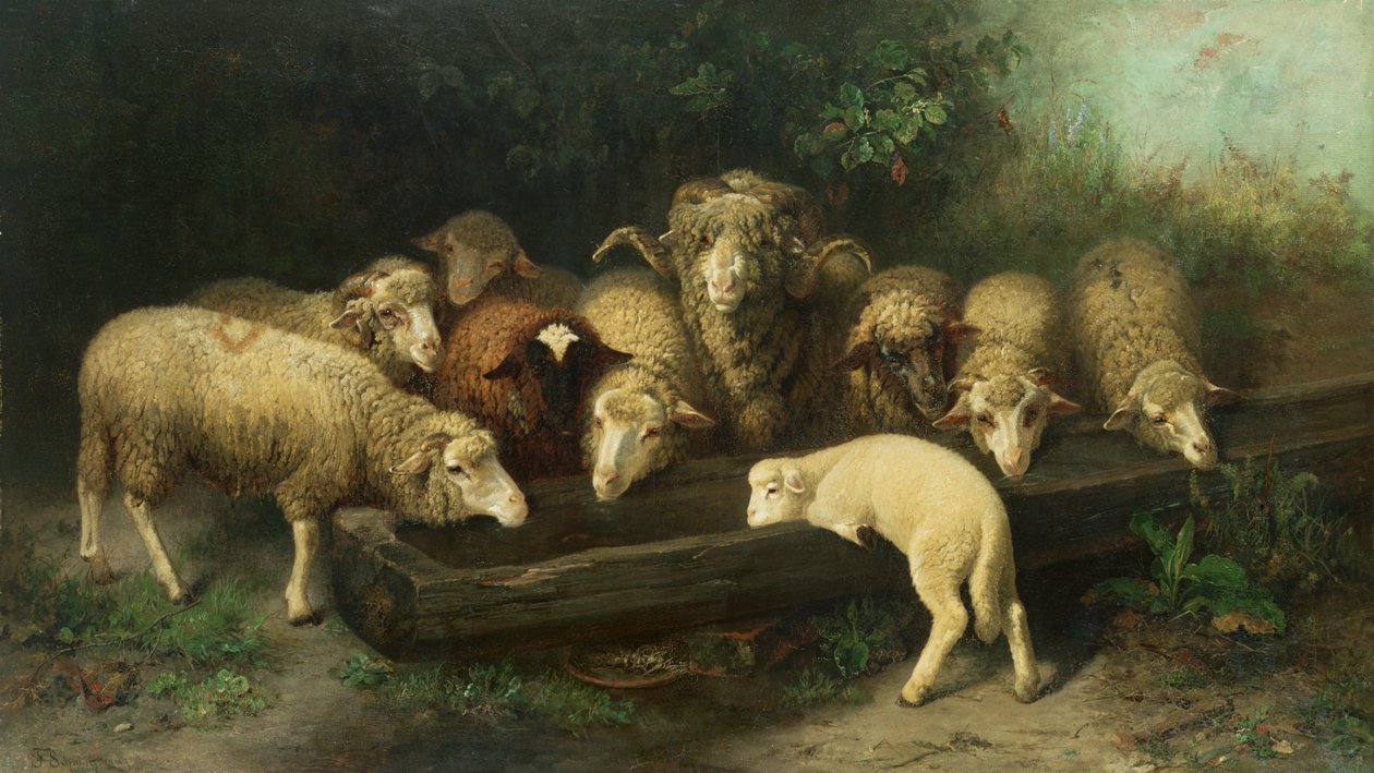Ovčí koryto, 19. století od Friedrich Ferdinand Schmalzigaug