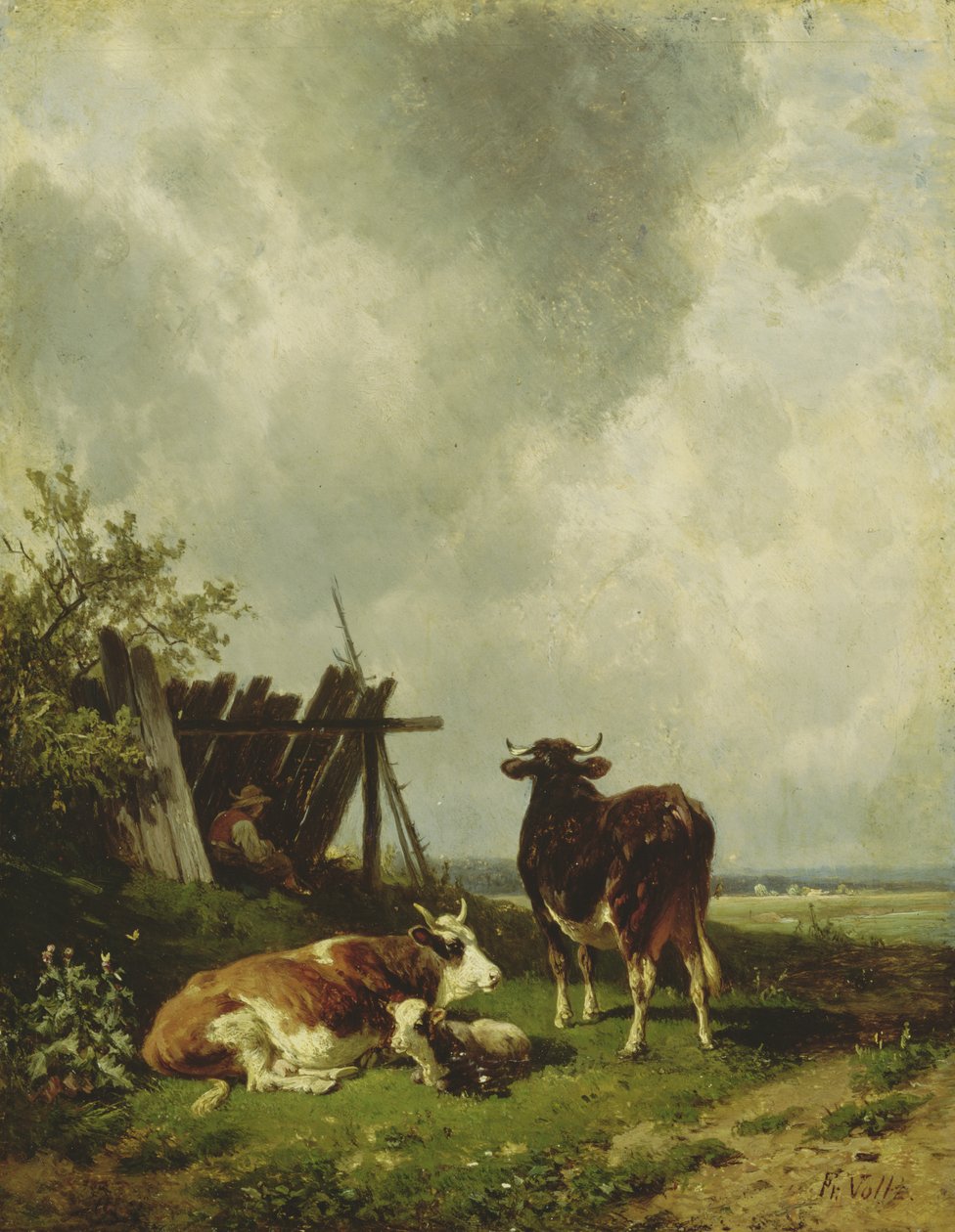 Krávy, 19. století od Friedrich Johann Voltz