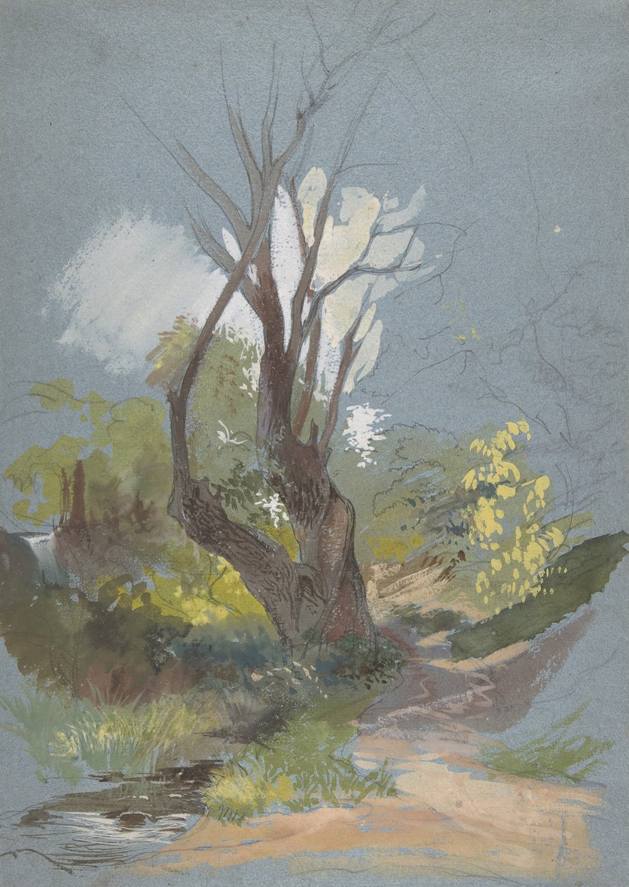 Horská cesta se stromem, 1820-78. od Friedrich Nerly