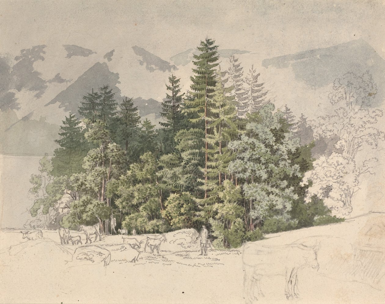 Alpská krajina (kvaš nad grafitem) od Friedrich Salathe