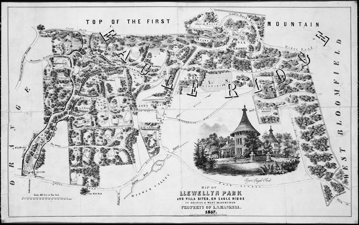 Mapa Llewellyn Park and Villa Sites, na Eagle Ridge v Orange & West Bloomfield, 1857., 1857. od Friend and Aub