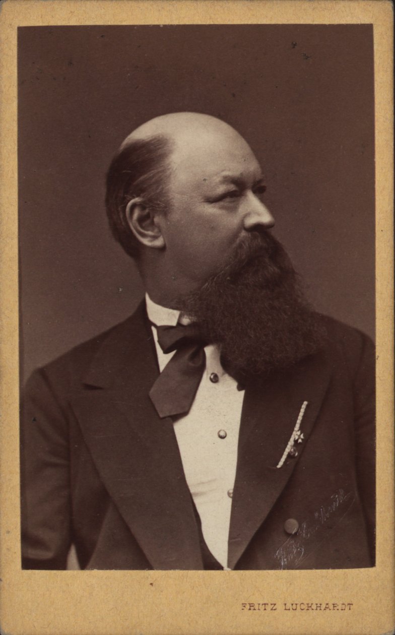 Portrét skladatele Franze von Suppè 1819-1895 , c. 1880. od Fritz Luckhardt