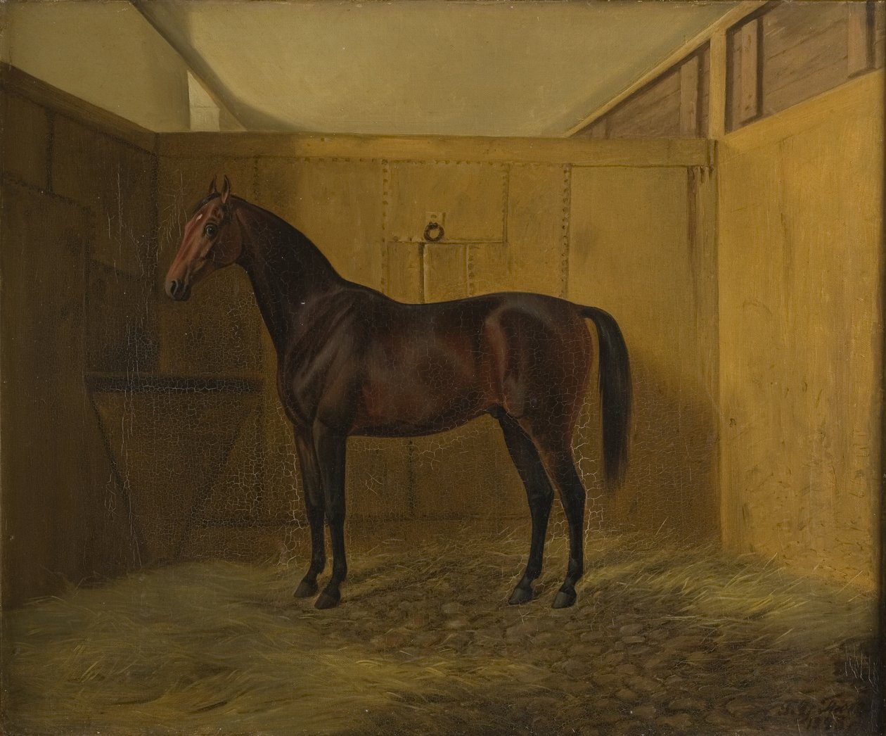 Hersilia od Fritz Thomsen