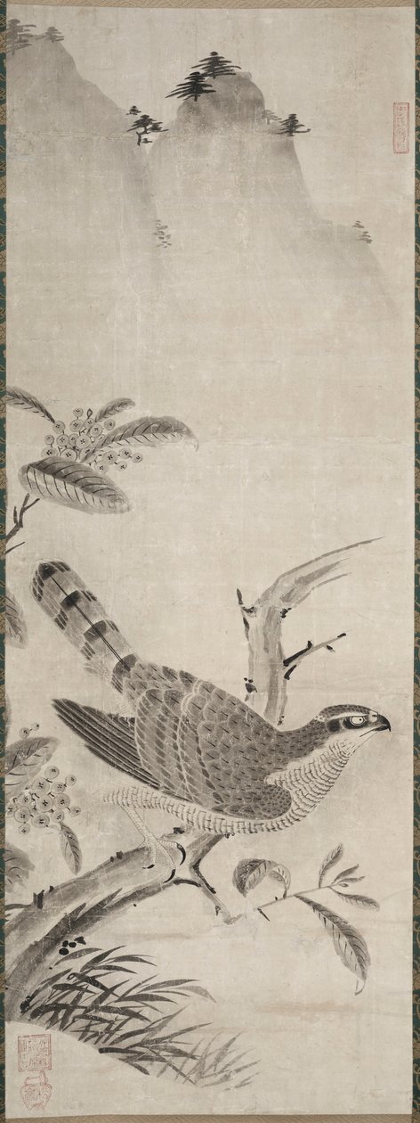 Jestřáb od Fujiwara Masayoshi
