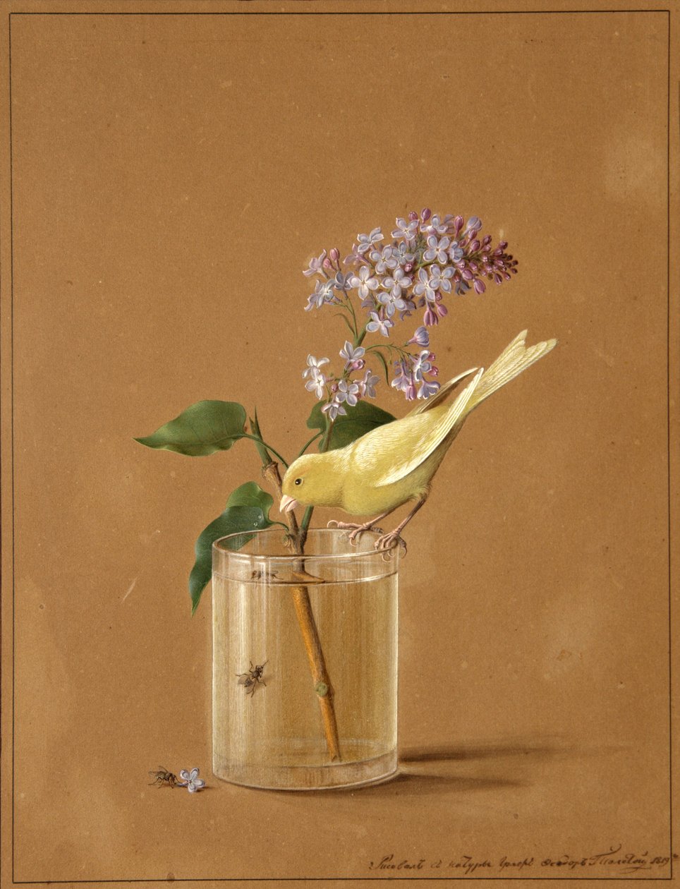 Kanárský pták na větvičce šeříku, 1819 od Fyodor Petrovich Tolstoy