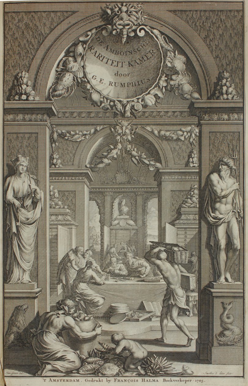 G. E. Rumphius, Amboinische Rariteikammer, Amsterdam 1705 od G. E. Rumphius