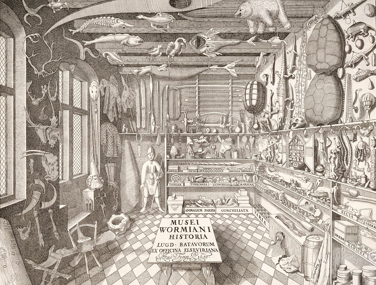 Museum of Ole Worm, Leiden, 1655 od G. Wingendorp