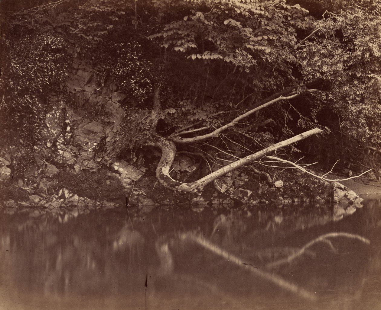 River Bank ve Vale of Neath,cca. 1855 (foto) od G.B. Gething