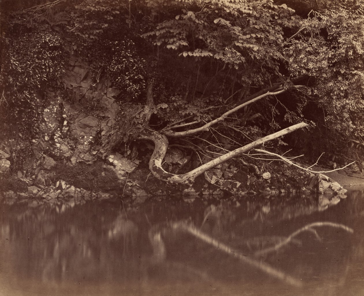 River Bank ve Vale of Neath, c. 1855. od G. B. Gething