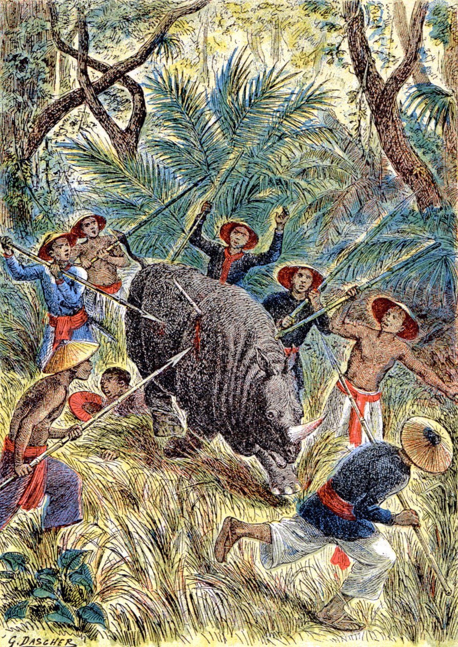 Lov nosorožců, Francouzská Indočína, cca 1900 (ilustrace) od G. Dascher