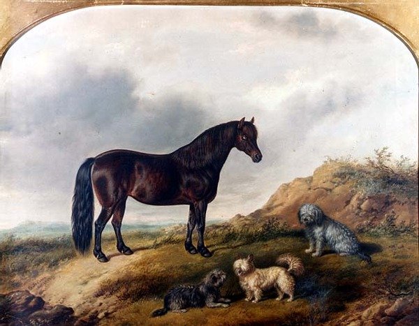 Poník a tři teriéři v krajině od G. Jackson