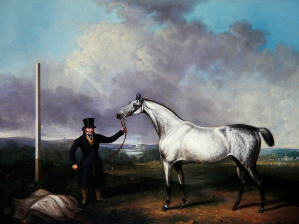 Gentleman držící šedého závodního koně na hřišti (olej na plátně) od G. Jackson