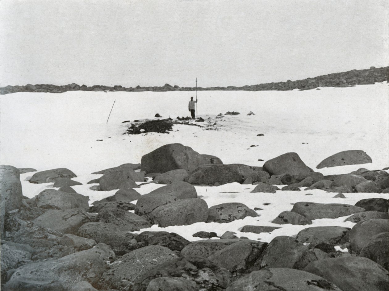 Exteriér iglú, c1911, 1913 od G. Murray Levick