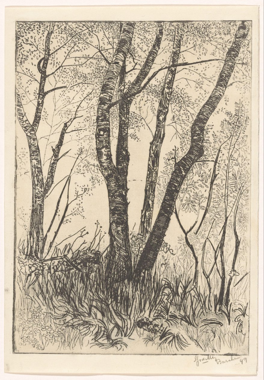 Stromy ve vysoké trávě od G. van der Mey (signed by artist)