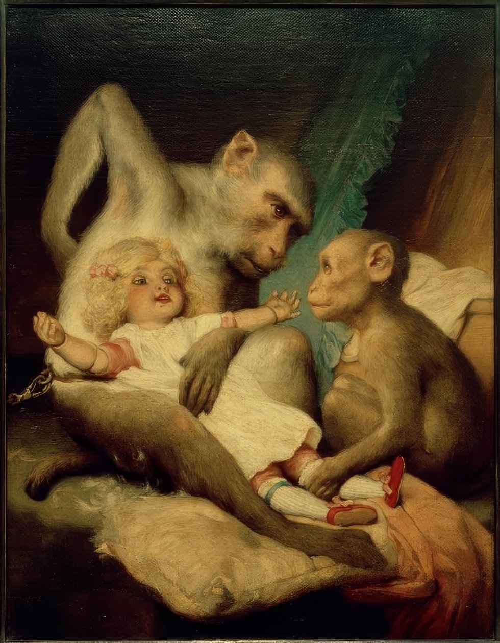 Antropologické třídy od Gabriel Cornelius Ritter von Max