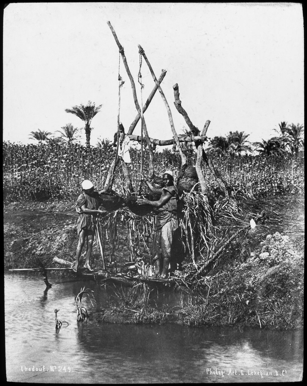 Shaduf na Nilu, Egypt, c1890 od Gabriel Lekegian