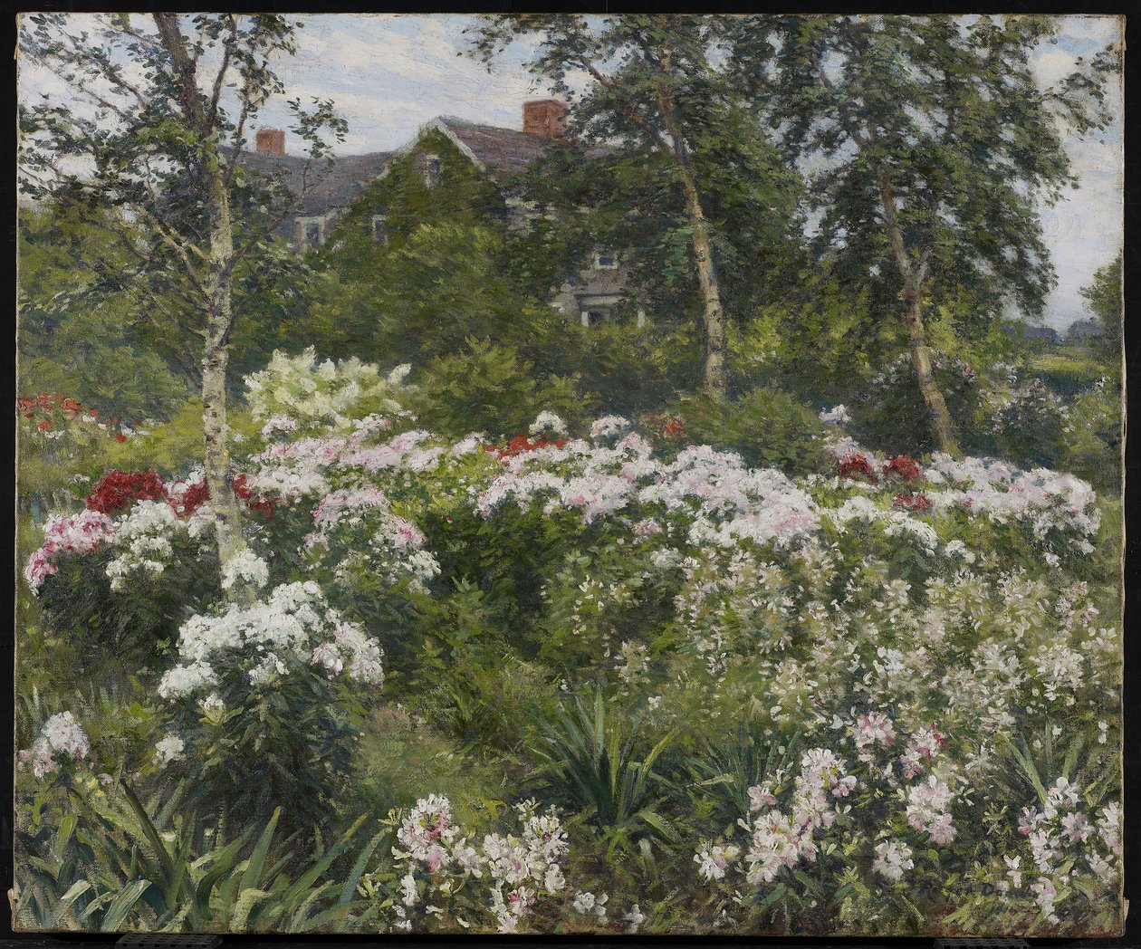 Zahrada, 1911 od Gaines Ruger Donoho