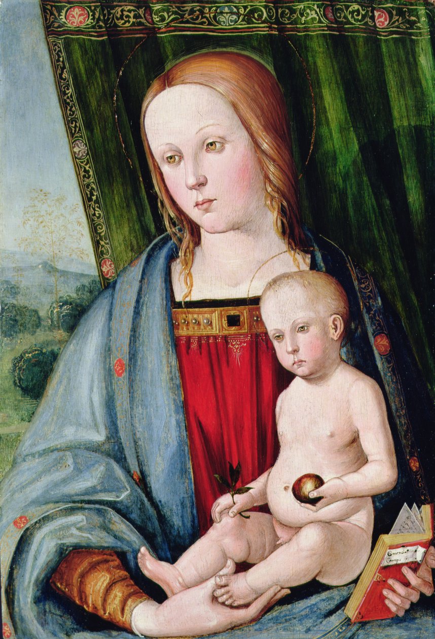 Panna a dítě, po roce 1494 (tempera s olejovými glazurami na desce) od Galeazzo Campi