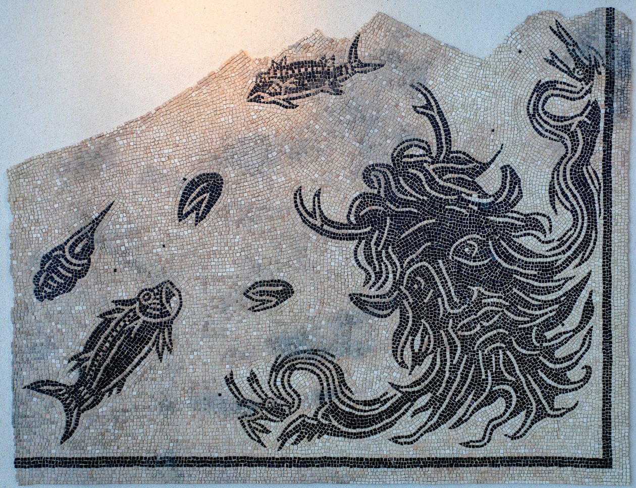 Mozaika zobrazující hlavu boha oceánu s mořskými živočichy od Gallo-Roman