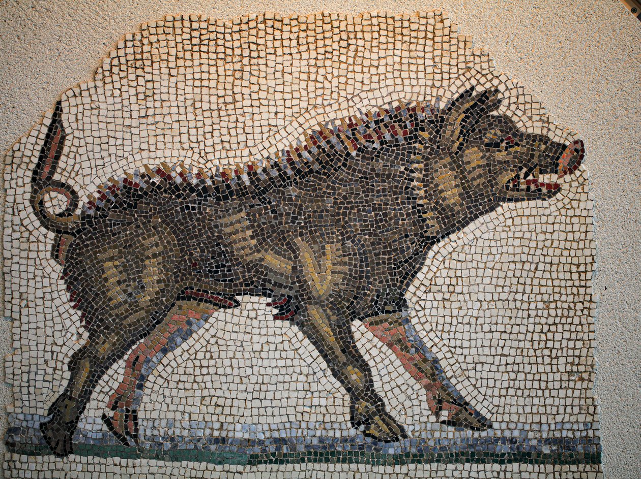 Římská mozaika od Gallo-Roman