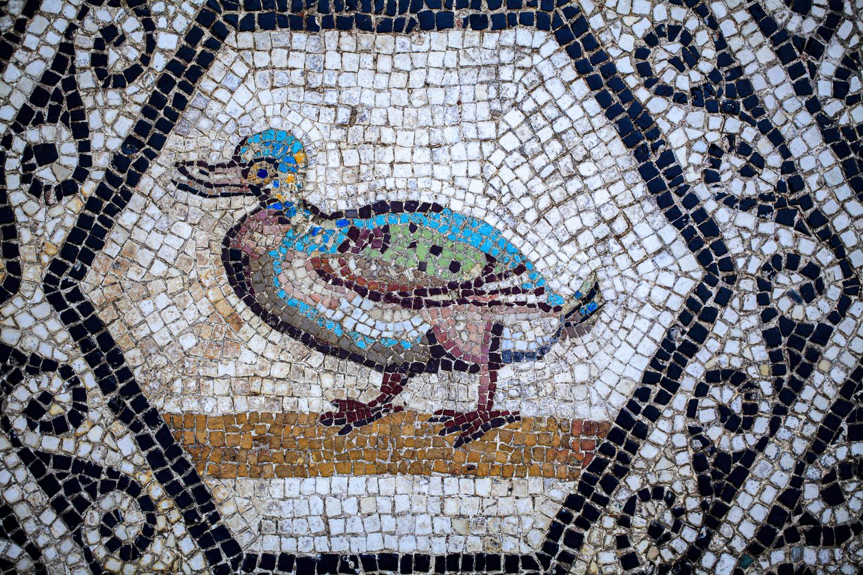 Římská mozaika od Gallo-Roman Gallo-Roman