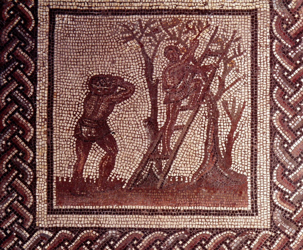 Gallo Roman Art: mozaiková dlažba představující rustikální kalendář. Scéna se sběrem oliv. Konec 2., začátek 3. století po JC. Ze Saint-Romain-en-Gal (Rhone). Saint Germain en Laye, Národní muzeum archeologie od Gallo Roman