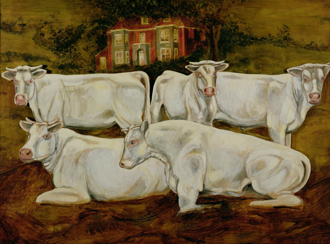Charolais Bulls, Dippenhall, Farnham od Gareth Lloyd Ball