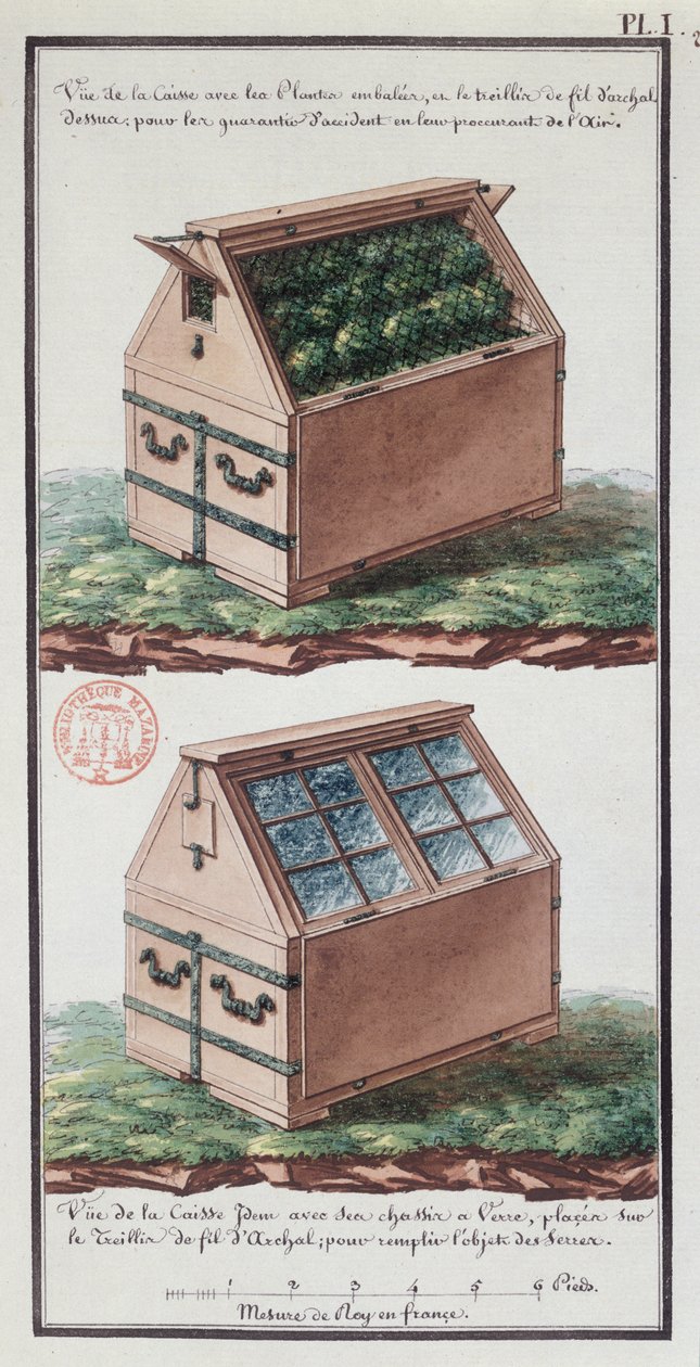 Ilustrace komody na přepravu rostlin z umělcova zápisníku vytvořeného během expedice Jeana-Francoise Gallupa de la Perouse (1741-88) (pero a inkoust a wc na papíře) od Gaspard Duche de Vancy