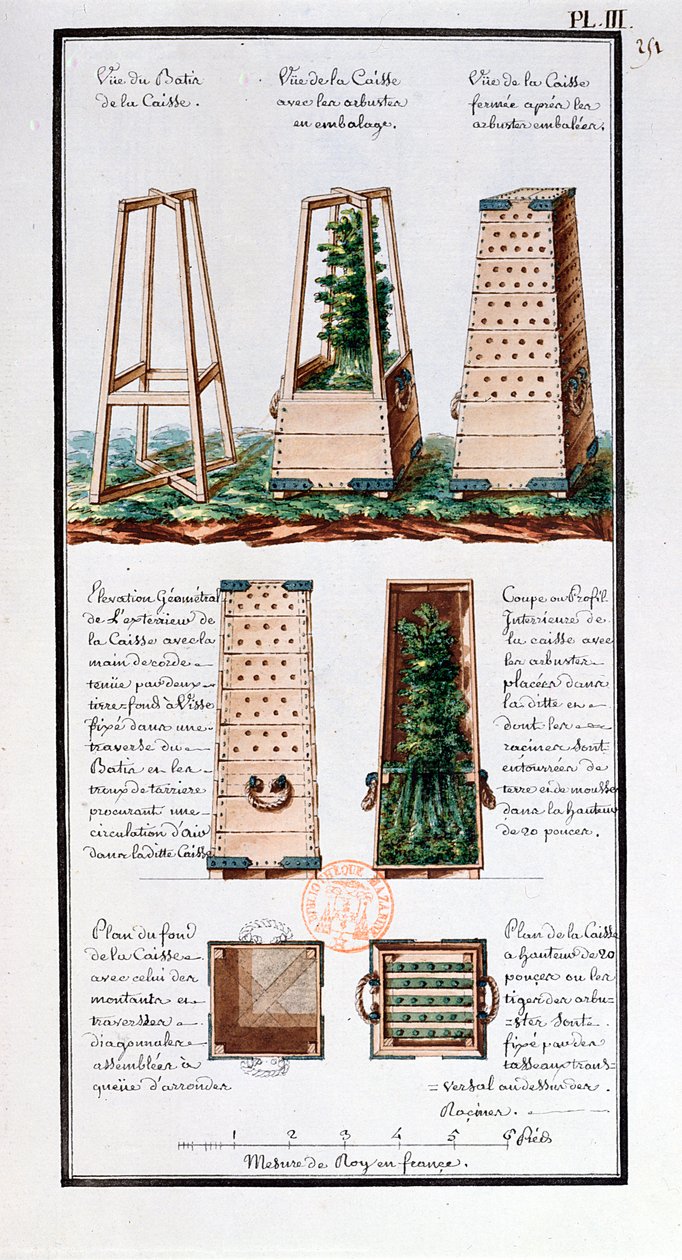 Ilustrace speciální skříně pro přepravu keřů a keřů z umělcova zápisníku vytvořeného během expedic Jeana-Francoise Gallupa de la Perouse (1741-88) (pero a inkoust a wc na papíře od Gaspard Duche de Vancy