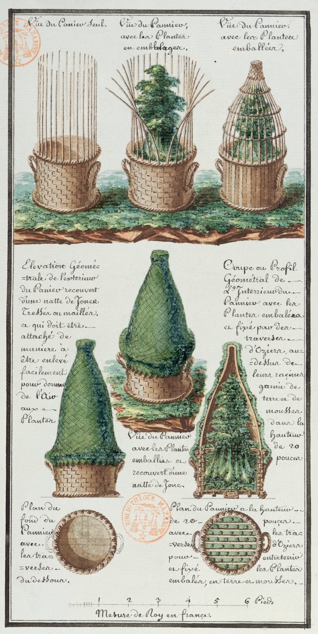 Ilustrace tkaného koše na přepravu rostlin z umělcova zápisníku vytvořeného během expedic Jeana-Francoise Gallupa de la Perouse (1741-88) (pero a inkoust a wc na papíře) od Gaspard Duche de Vancy