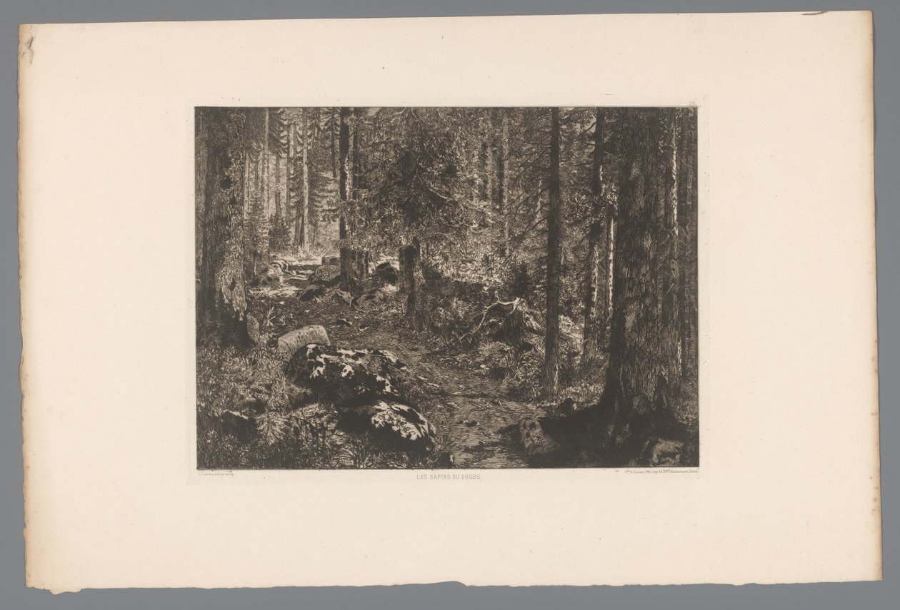 Boslandschap Jedle z Doubs (název na objektu) Francie etsen uit 1876 (název série) Lept v roce 1876 (název série) od Gaston Coindre