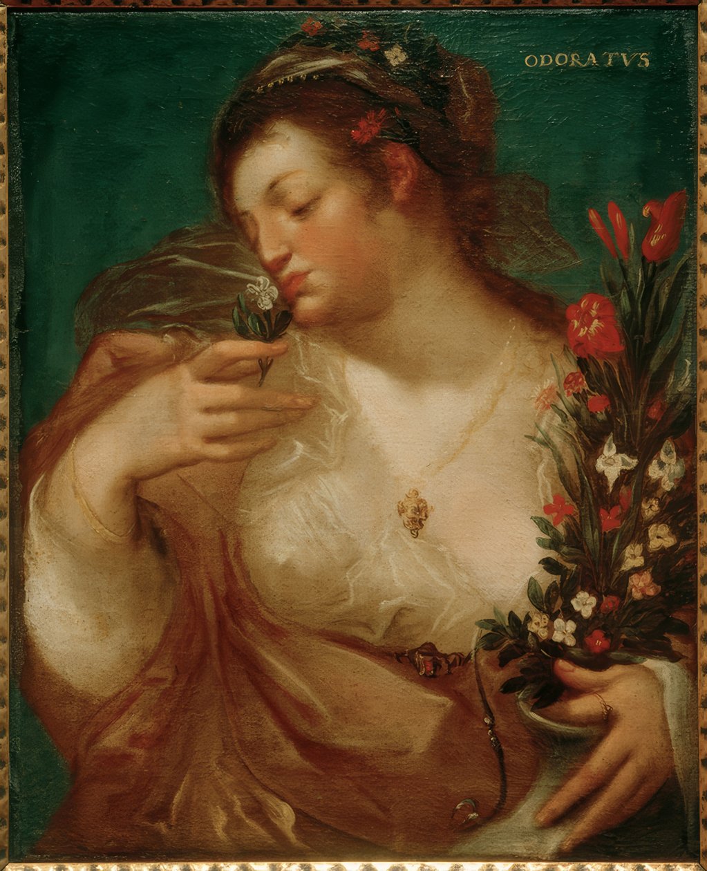 Odoratus od Geldorp Gortzius