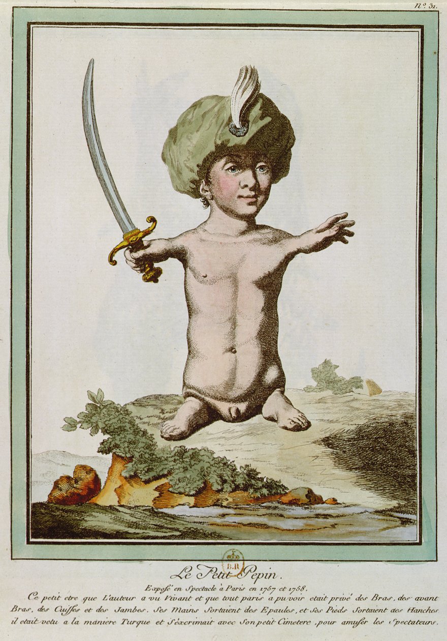 Petit Pepin, z ‚Les Ecarts de la Nature‘, Paříž, 1775 od Genevieve Regnault de Nangis
