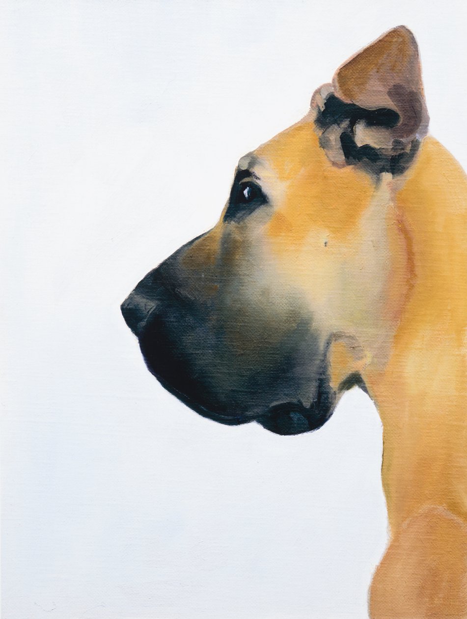 Německá doga, 2016 (olej na desce) od Genevieve French