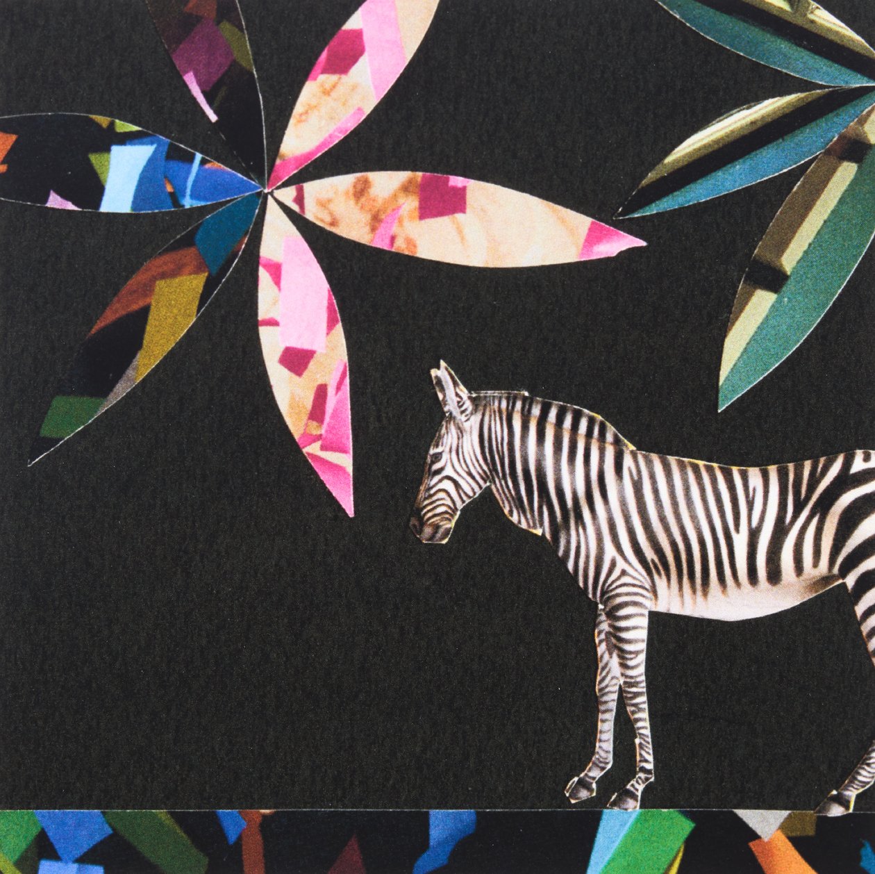 Italská zebra, 2019 (koláž) od Genevieve French