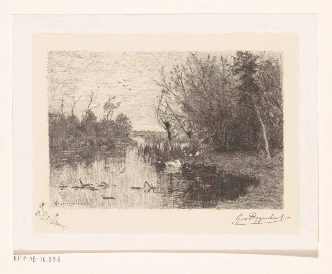 Kachny podél a na břehu jezera Duck pee (původní název) od Geo Poggenbeek (signed by artist)