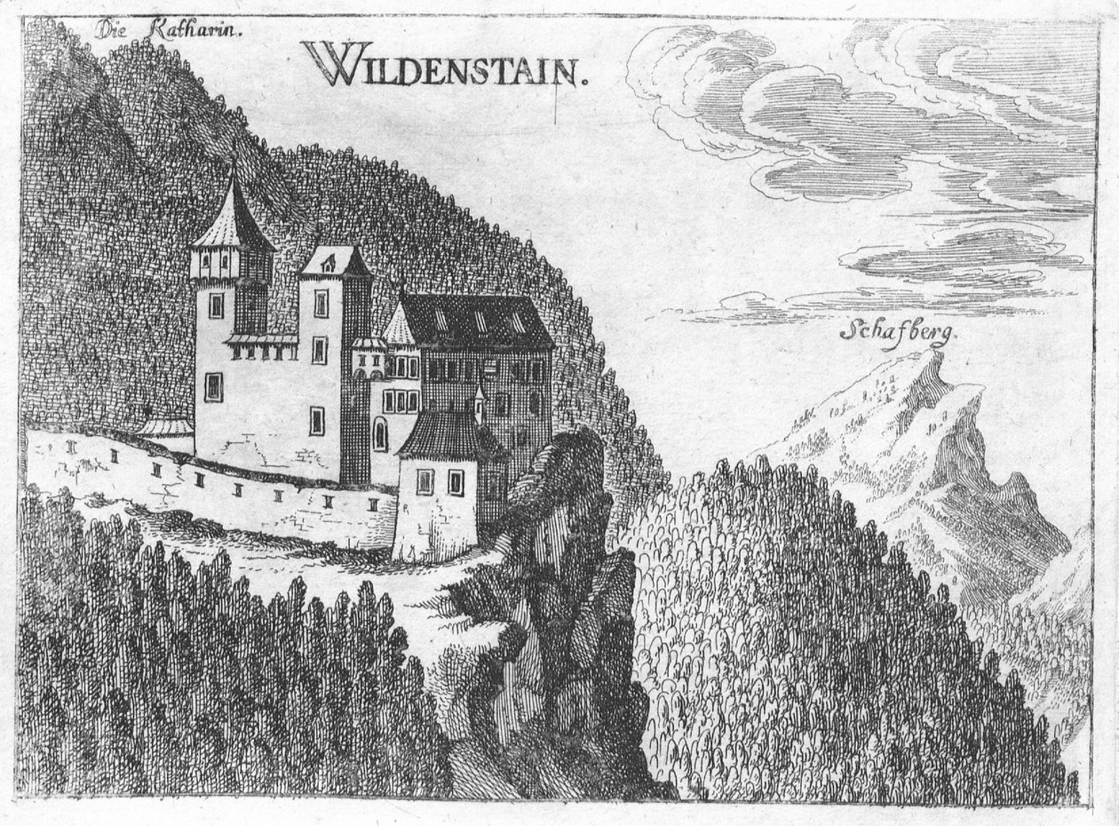 Rytina, pohled na hrad Wildenstein, Horní Rakousko od Georg Matthaus Vischer