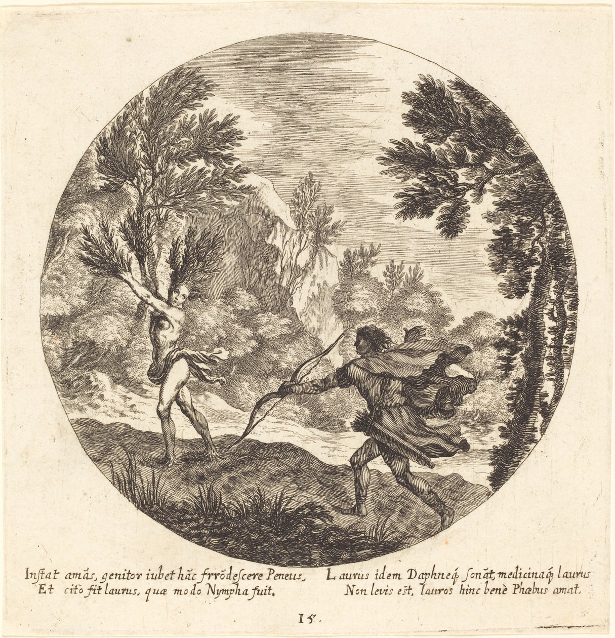 Daphne se obrací k vavřínu od Georg Andreas Wolfgang the Elder