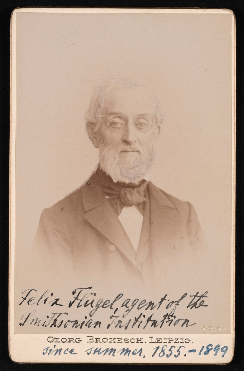 Portrét Felixe Flugela 1820-1904, 1894. od Georg Conrad Adolph Brokesch