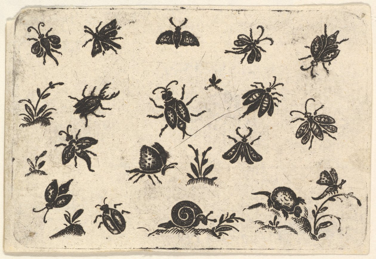 Malé motivy hmyzu a rostlin, 1596. od Georg Herman