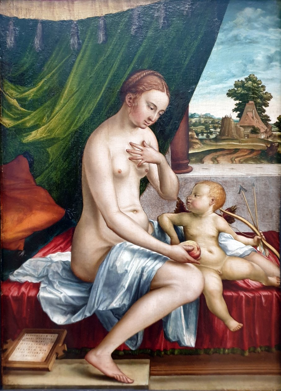 Německy: Venus und Amor Venuše a Amor od Georg Pencz