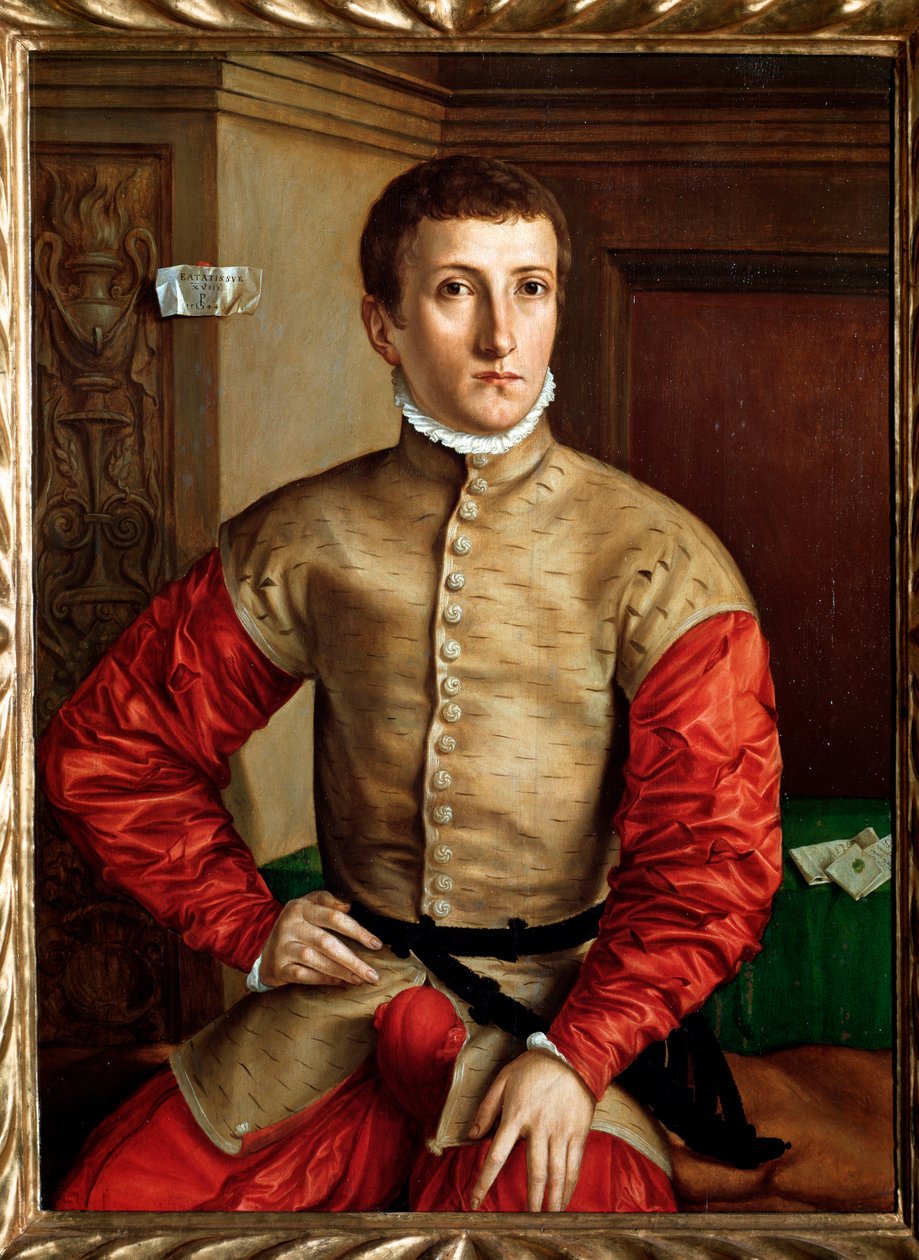 Portrét mladého muže ve věku 18 let - olej na dřevě, cca. 1544 od Georg Pencz