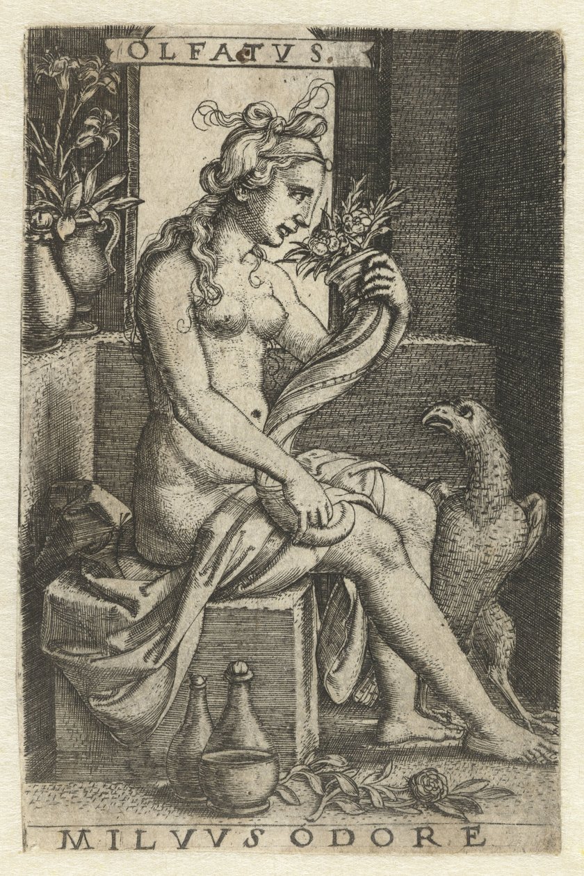 Čich (Olfactus) Olfatvs milvvs odore (název na objektu) Five Senses (název série) od Georg Pencz
