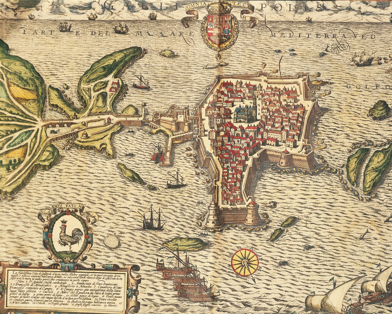 Mapa Gallipoli, z Civitates Orbis Terrarum od Georga Brauna od Georg Braun and Hogenberg Franz