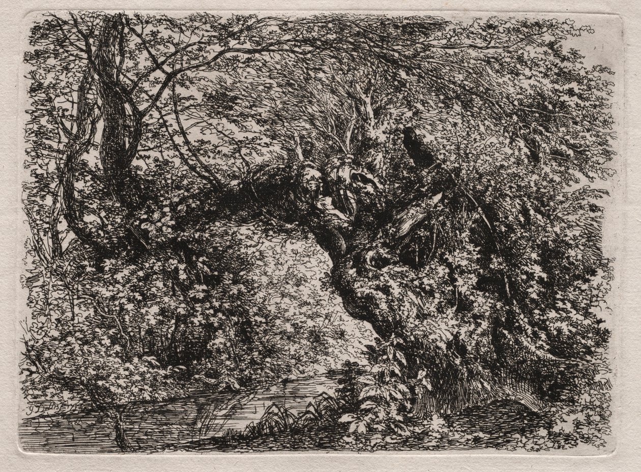 Stará vrba u potoka, 1794. od Georg von Dillis
